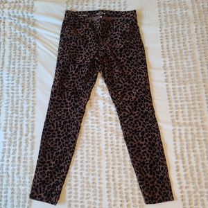 Ann Taylor Loft Cheetah Print Skinny Jeans
